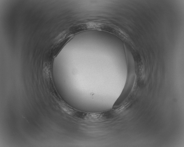 X0000051240329200507011633