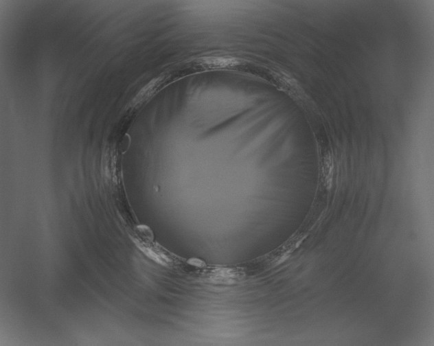 X0000051240330200507011633