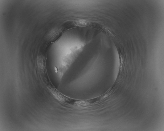 X0000051240331200507011632