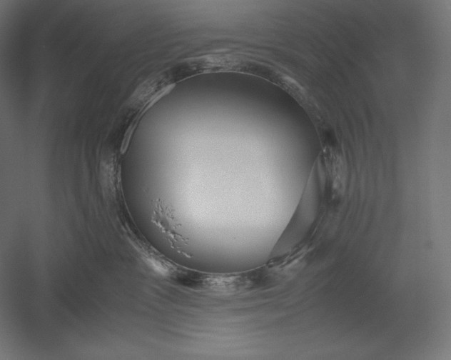 X0000051240333200507011632