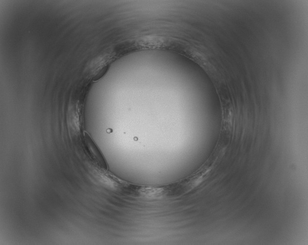 X0000051240334200507011632