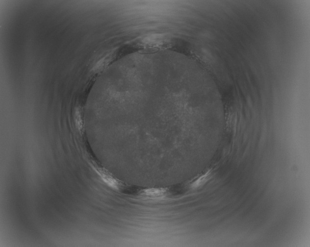 X0000051240335200507011632