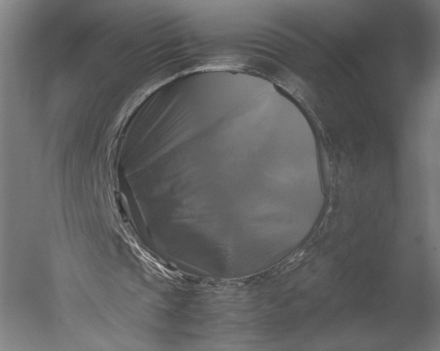 X0000051240337200507011632