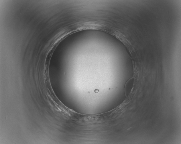 X0000051240338200507011632