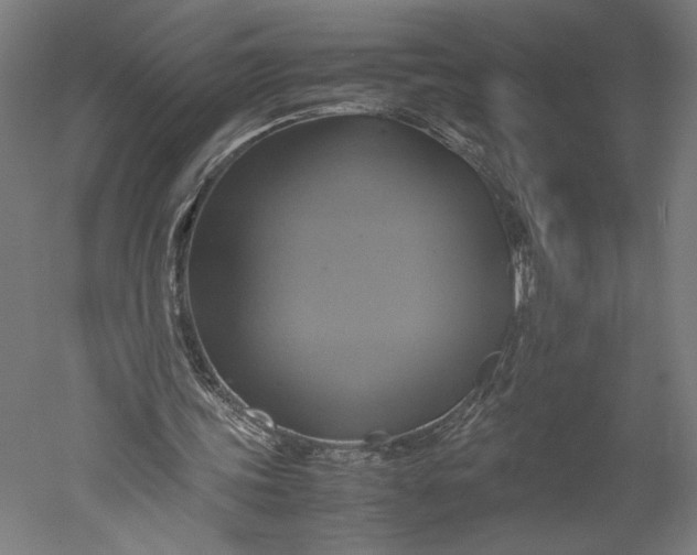 X0000051240339200507011632