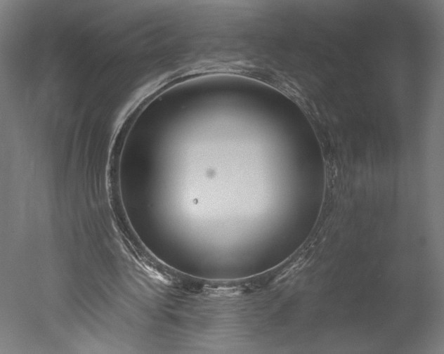 X0000051240340200507011632