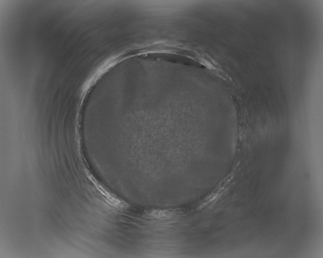 X0000051240341200507011632