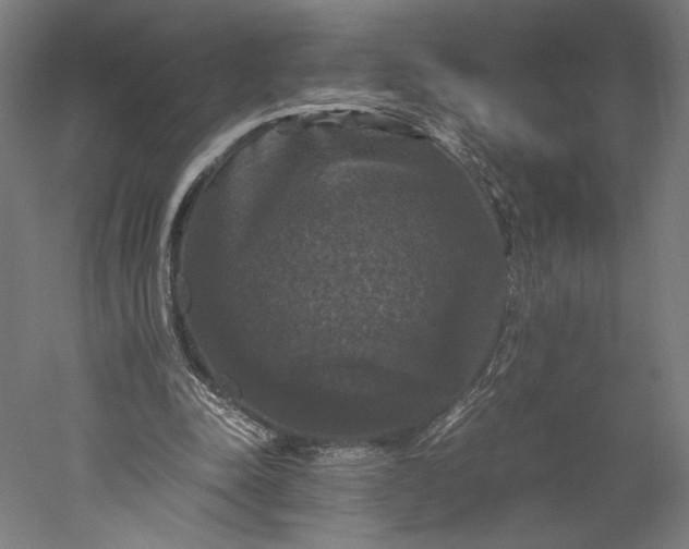 X0000051240342200507011632