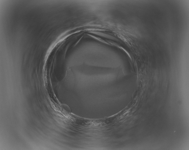 X0000051240343200507011632