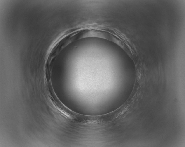 X0000051240344200507011632