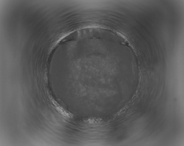 X0000051240345200507011632