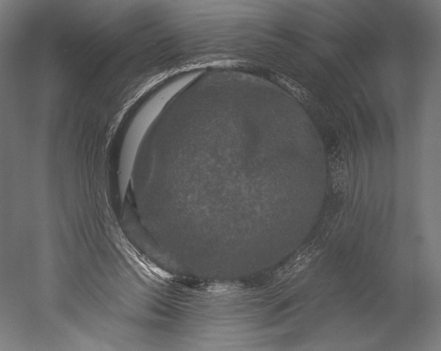 X0000051240350200507011632