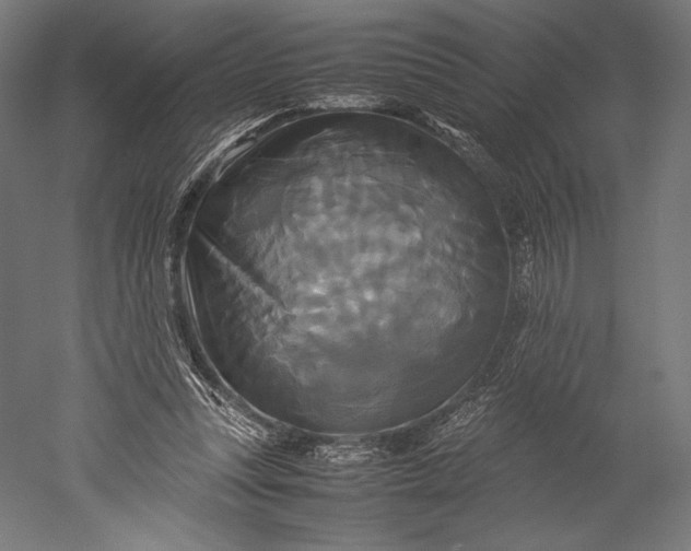 X0000051240351200507011632