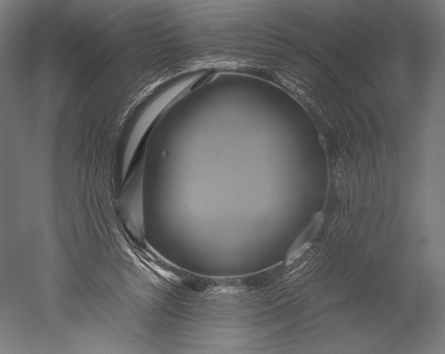 X0000051240352200507011632