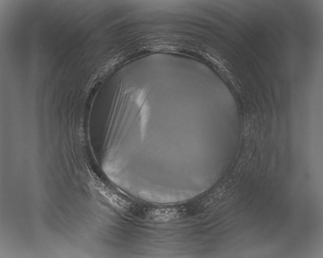 X0000051240353200507011632