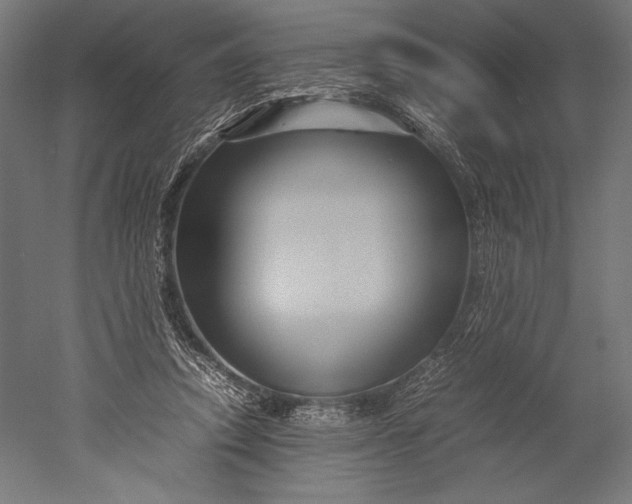 X0000051240354200507011632