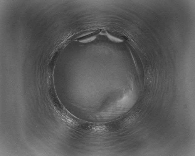 X0000051240355200507011632