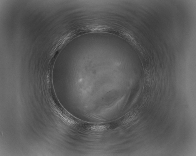 X0000051240357200507011632