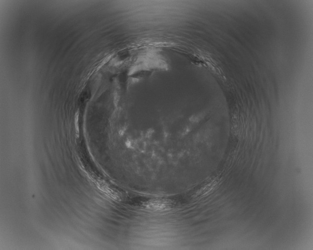 X0000051240358200507011632