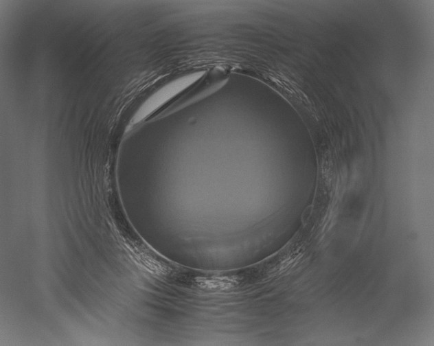 X0000051240359200507011632