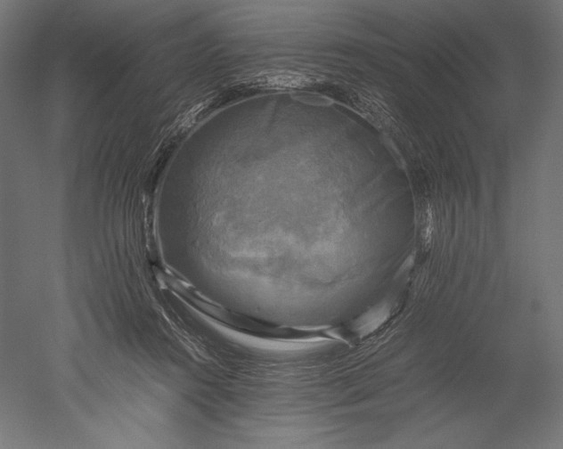 X0000051240360200507011632