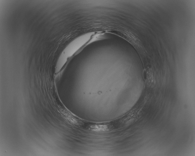 X0000051240361200507011632