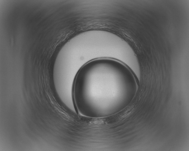 X0000051240362200507011632