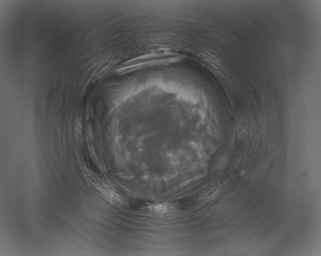 X0000051240365200507011632