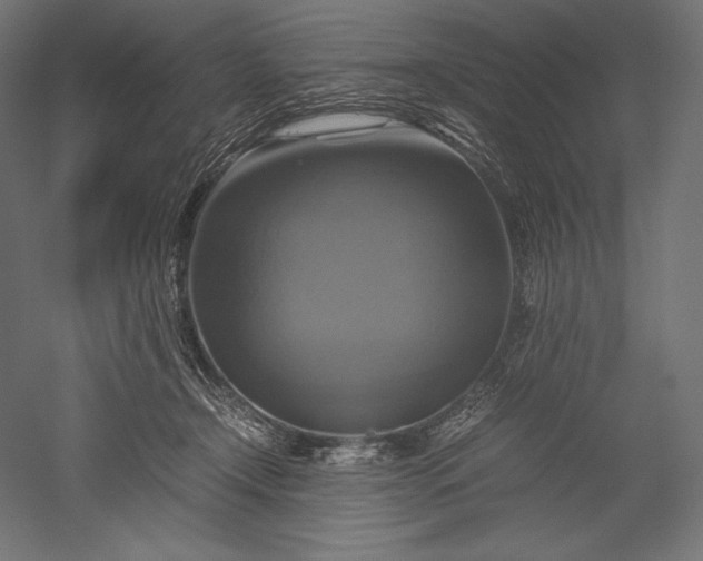 X0000051240366200507011632