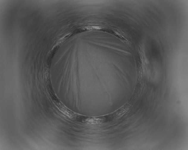 X0000051240367200507011632