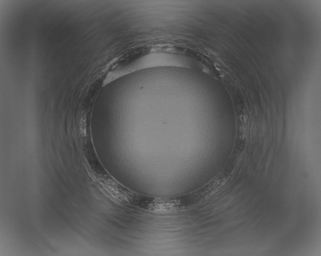 X0000051240368200507011632