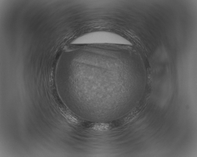 X0000051240369200507011632