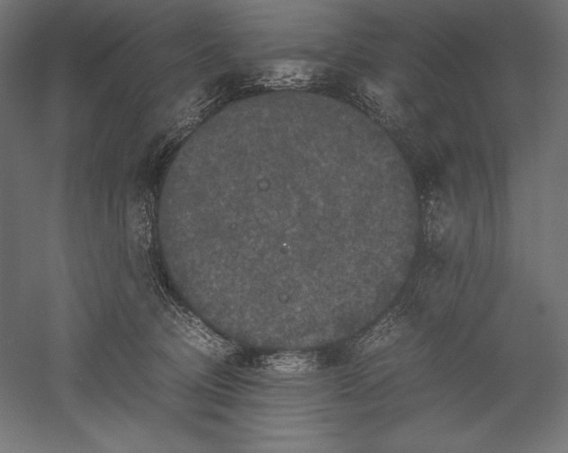 X0000051240370200507011632