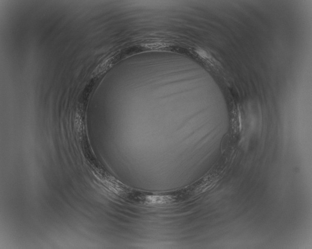 X0000051240371200507011632