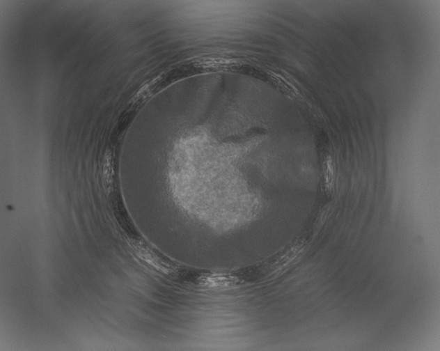 X0000051240372200507011632