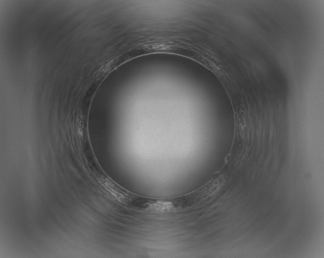 X0000051240374200507011632