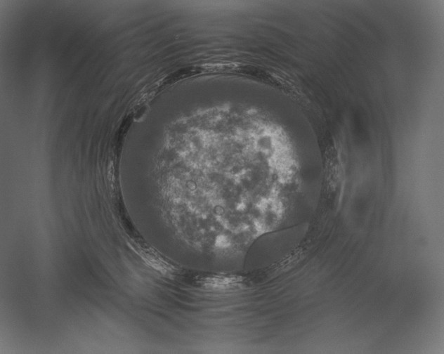 X0000051240375200507011632