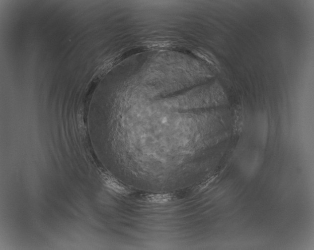 X0000051240377200507011632