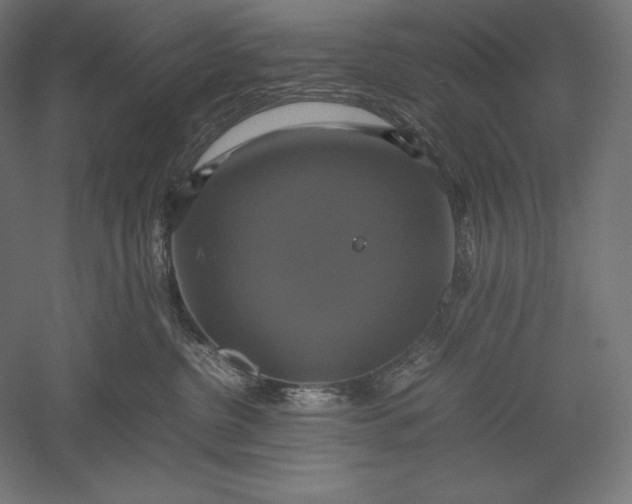 X0000051240380200507011632