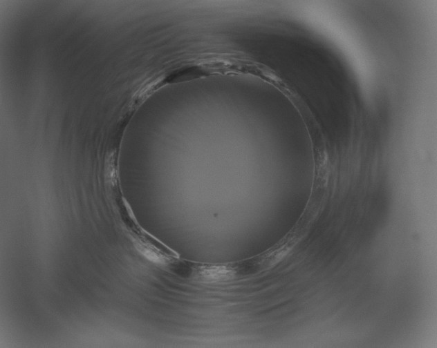 X0000051240383200507011632