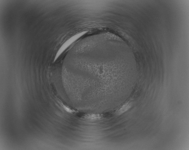 X0000051240384200507011632