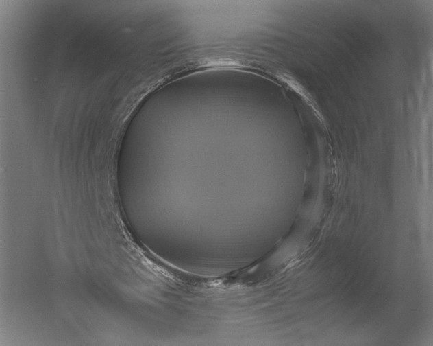 X0000051240385200507011632