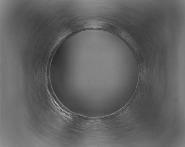 X0000051240386200507011632