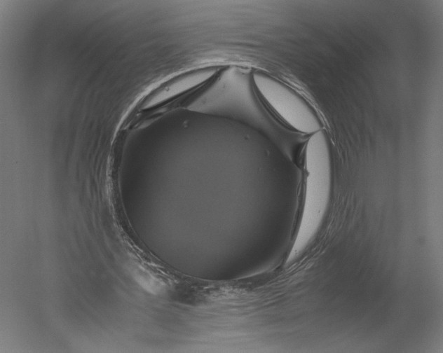 X0000051240387200507011632