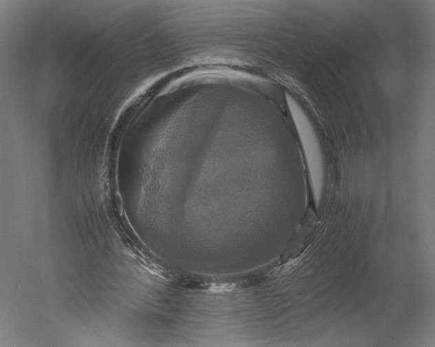 X0000051240388200507011632