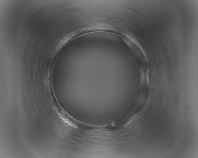 X0000051240389200507011632