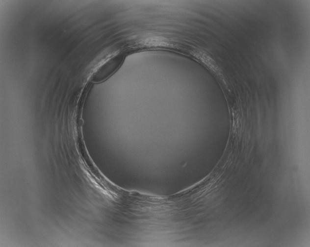 X0000051240390200507011631