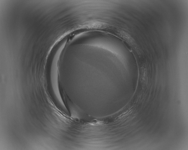 X0000051240392200507011631