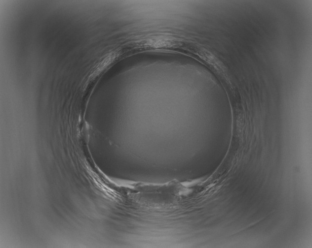 X0000051240393200507011631