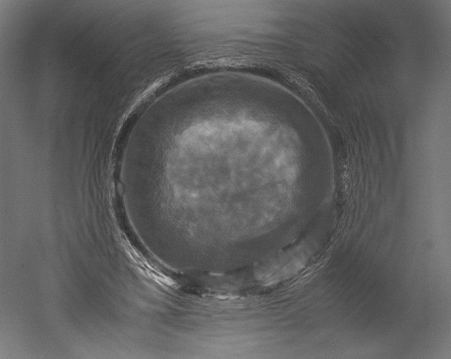 X0000051240395200507011631